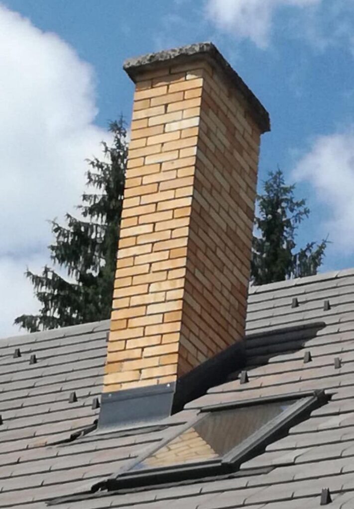 Ihličnaté stromy za komínom